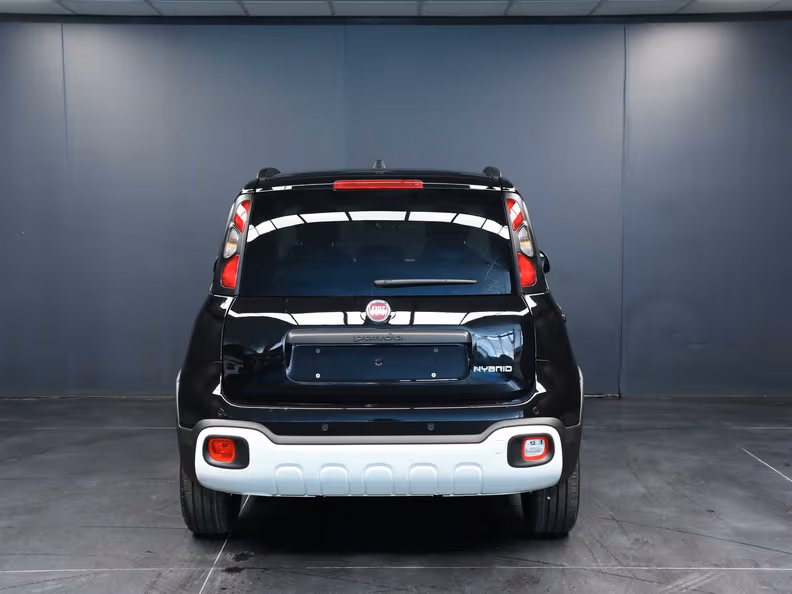 Fiat Pandina - 10