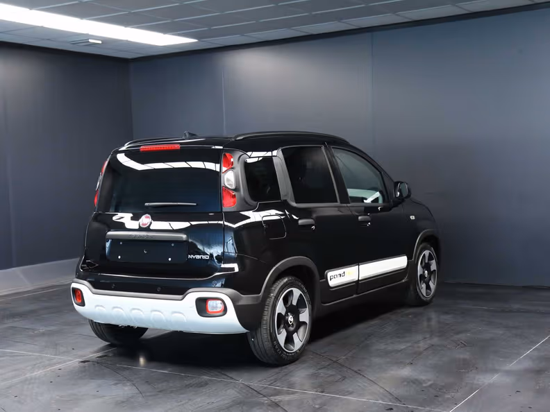 Fiat Pandina - 7
