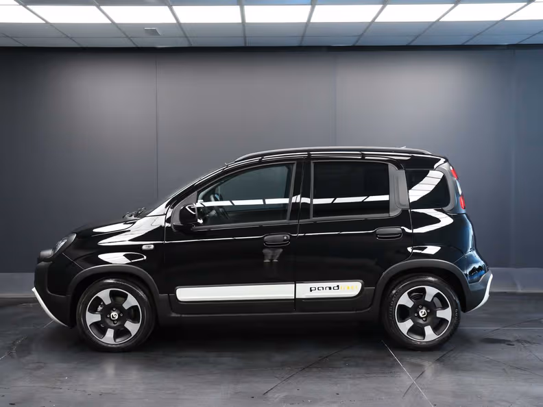 Fiat Pandina - 11