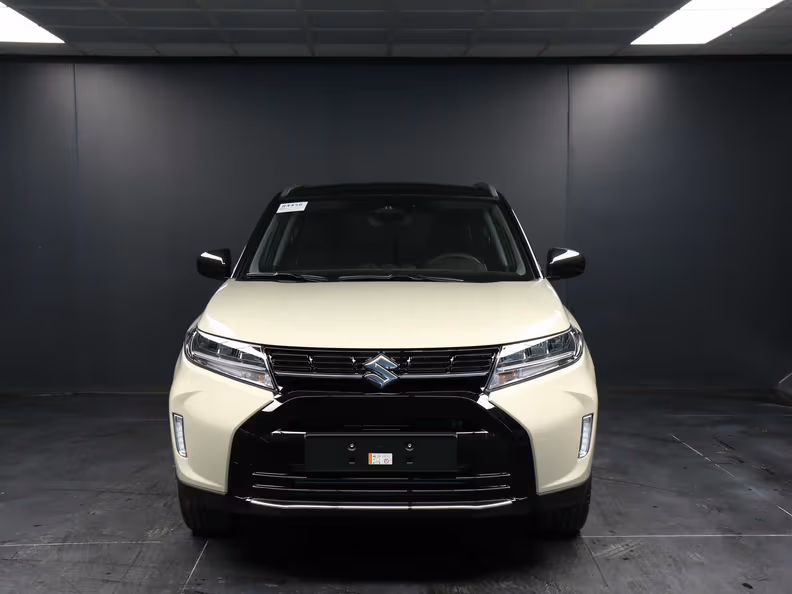 Suzuki Vitara - 9