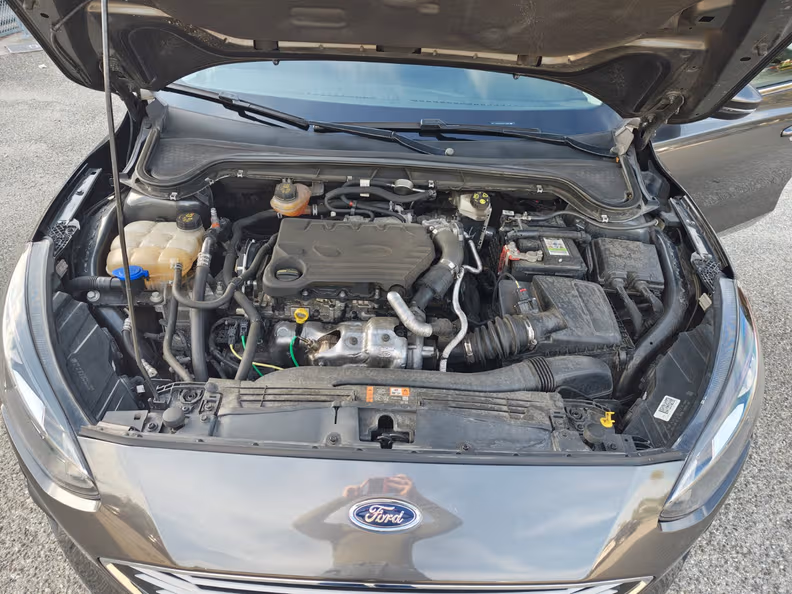 Ford Focus - 31
