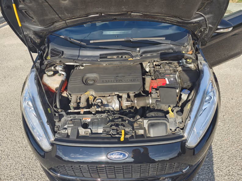 Ford Fiesta - 29
