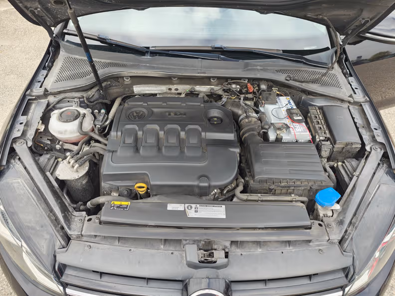 Volkswagen Golf - 24