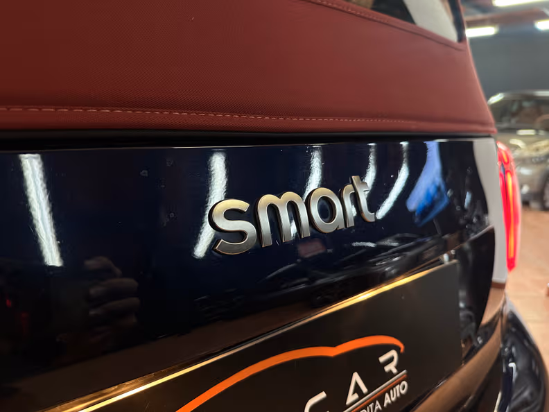 Smart ForTwo - 41