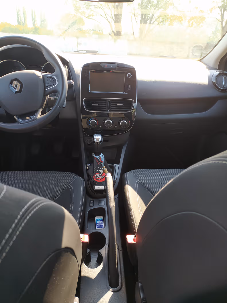 Renault Clio - 51