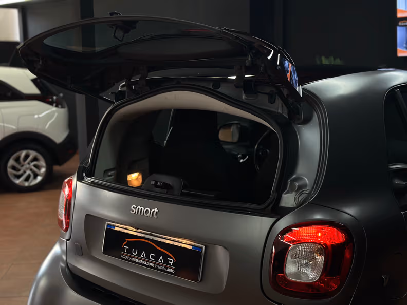 Smart ForTwo - 19