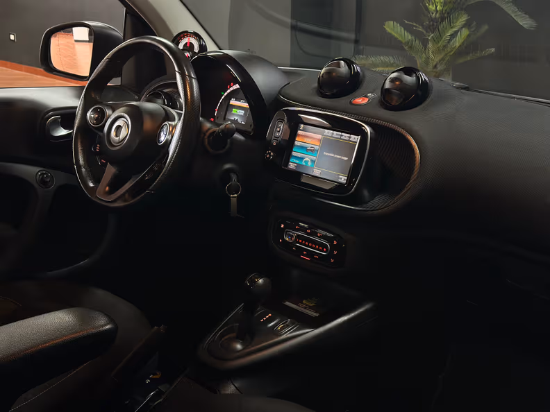 Smart ForTwo - 15