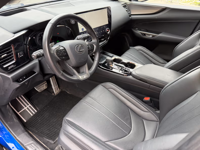 Lexus NX - 10