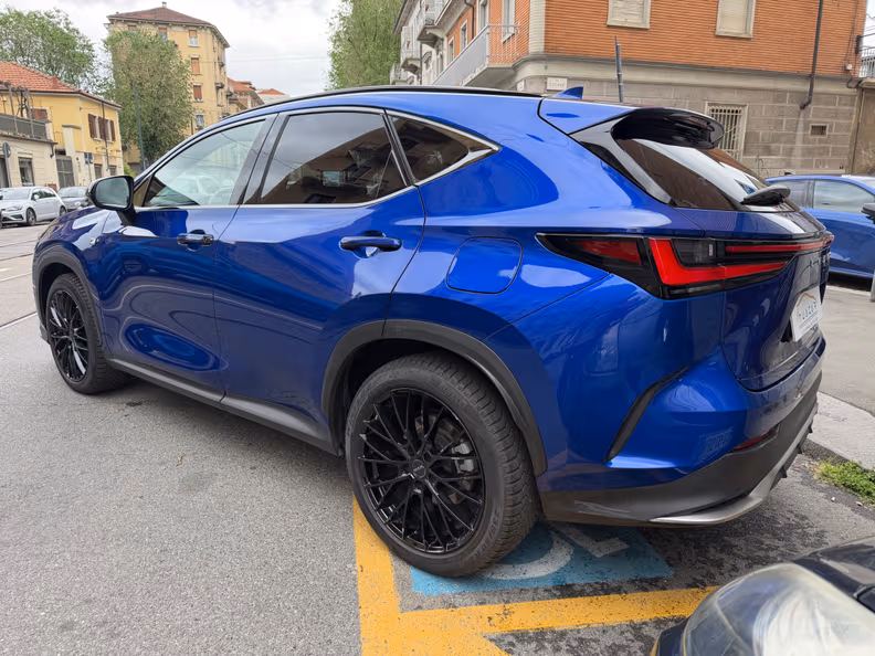 Lexus NX - 6