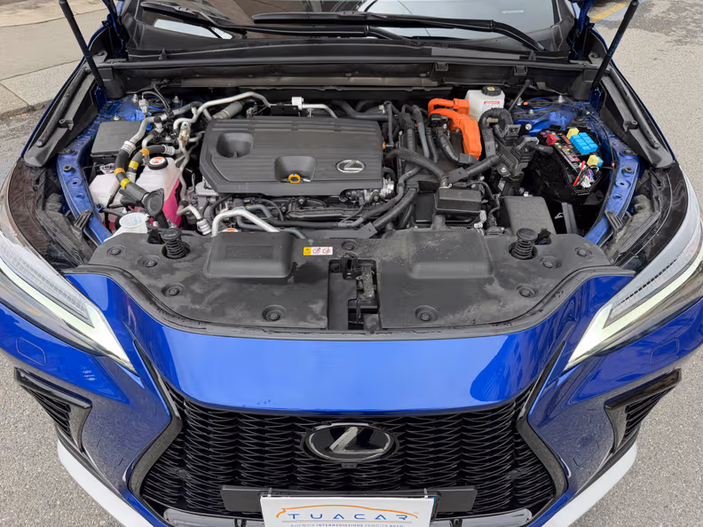 Lexus NX - 43