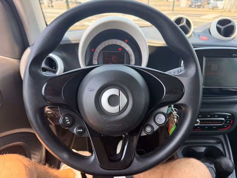 Smart ForTwo - 15