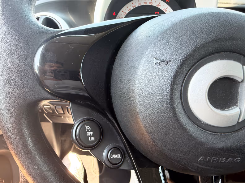 Smart ForTwo - 18