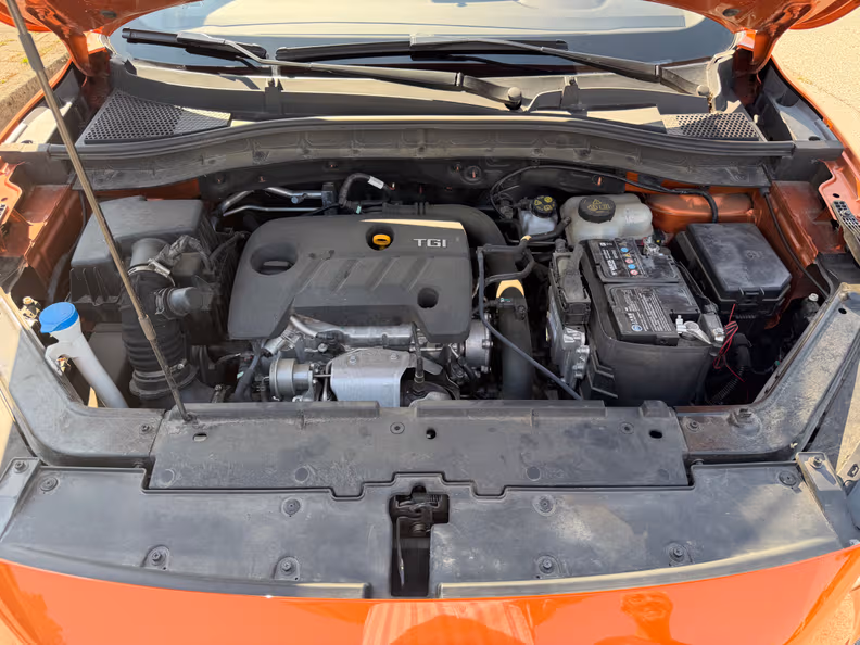 Mg ZS - 30