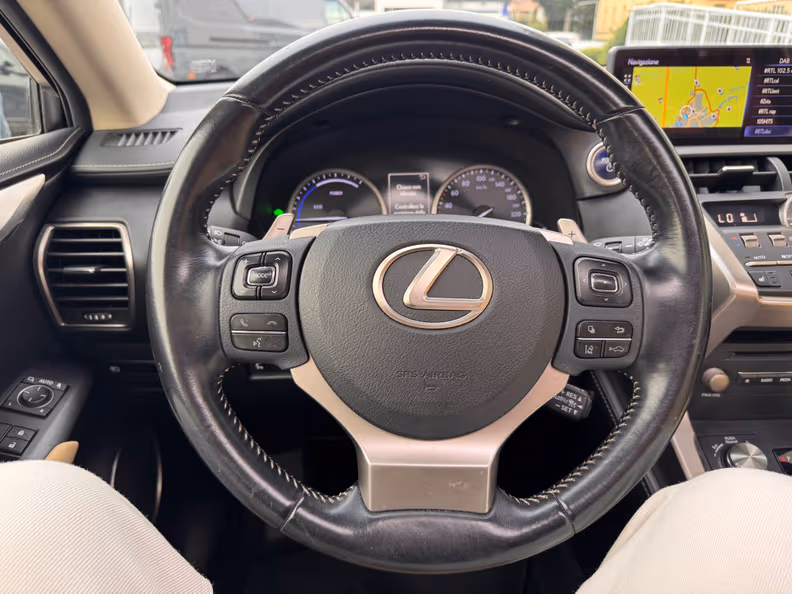 Lexus NX - 10