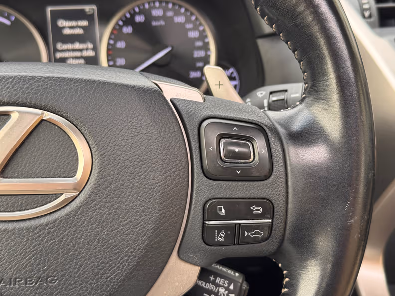 Lexus NX - 12