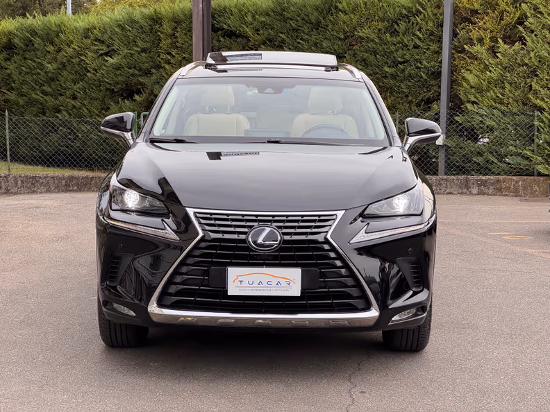 Lexus NX - 6
