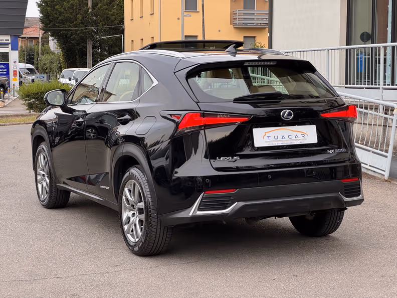 Lexus NX - 2